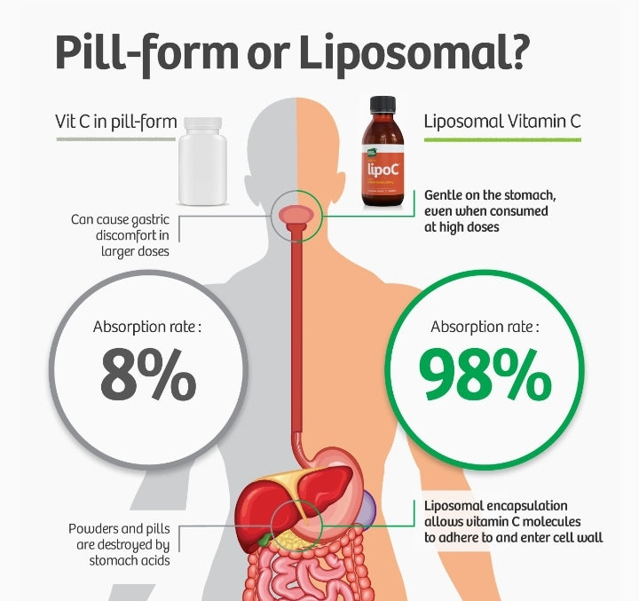 Vitamina C encapsulada con tecnología liposomal: máxima absorción 